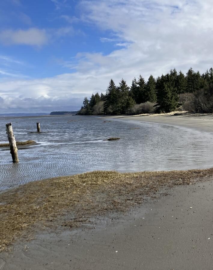 Bottle Beach Shoreline