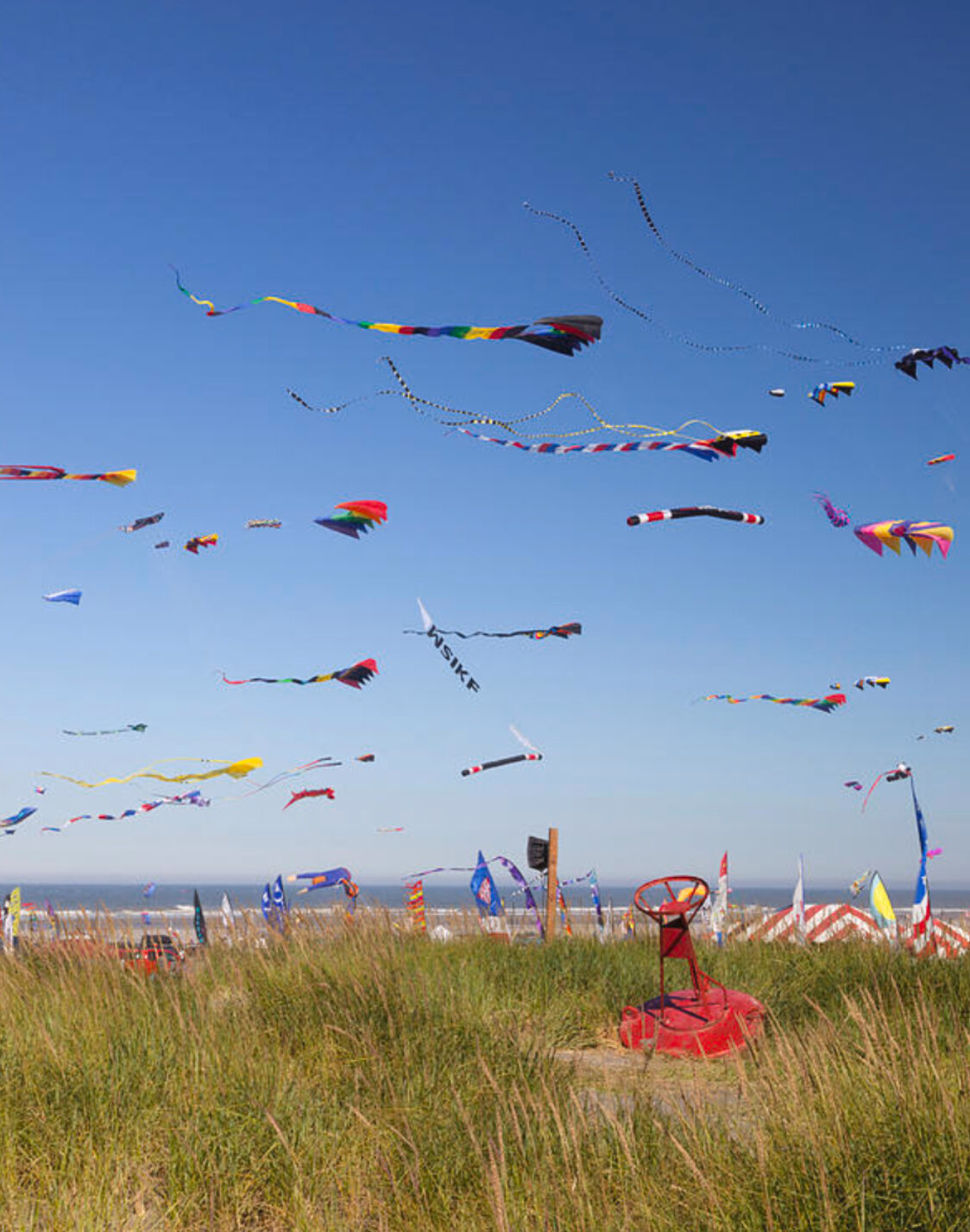 Kites Everywhere